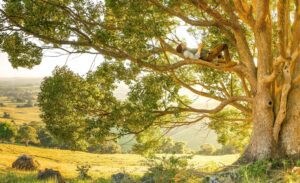 WHEN YOU FIND YOURSELF LOST by Shelly Ahrens at ShellyAhrens.com