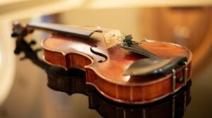 Never Under Estimate The Power of a Great Novel by Shelly Ahrens at shelly@shellyahrens.com